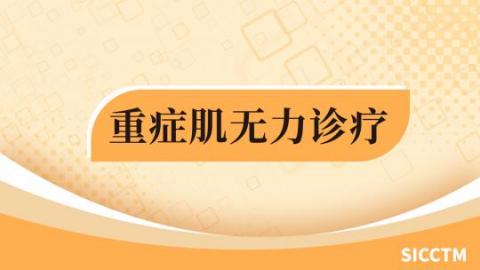 回放 