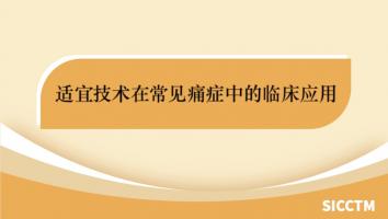 2024适宜技术在常见痛症中的临床应用学习班